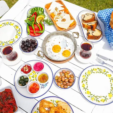 Limonata Ex Vina Garden 호텔 보즈자아다